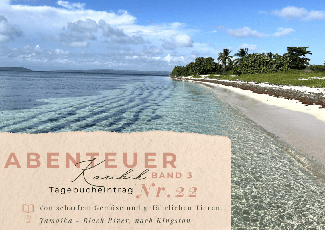 Karibiktagebuch III 22 Black River Kingston