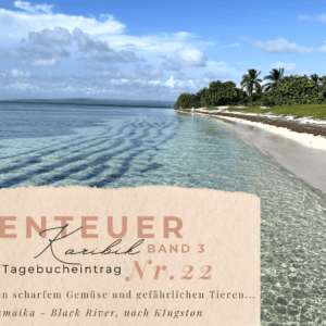 Karibik - Tagebuch III - Vom Black River über Pigeon Island nach Kingston