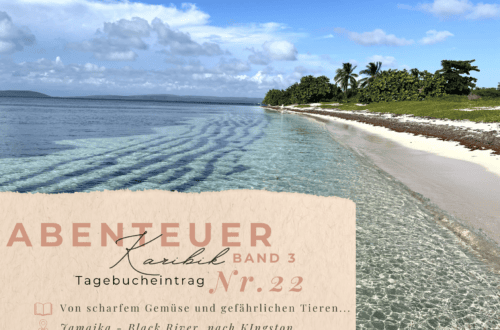 Karibiktagebuch III 22 Black River Kingston