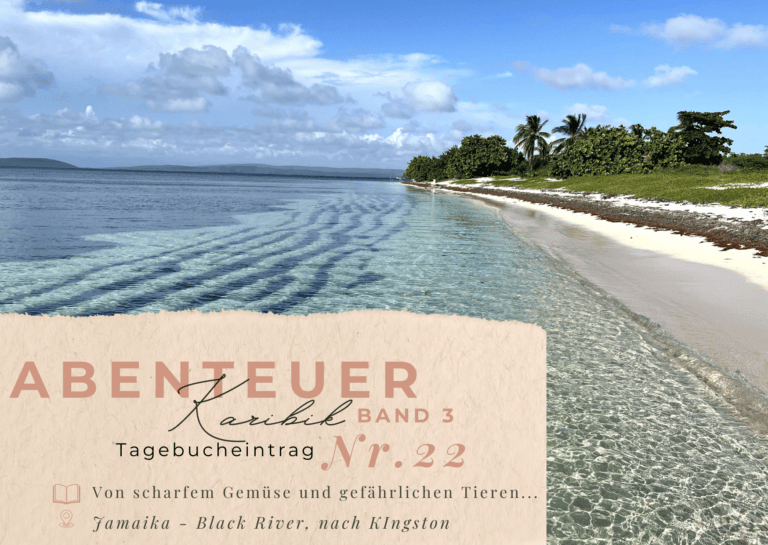 Karibik - Tagebuch III - Vom Black River über Pigeon Island nach Kingston