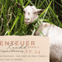 Karibik – Tagebuch III – Blue Mountains – eine Fahrt ins Blaue Wunder