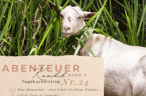 Karibiktagebuch III 24 Blue Mountains