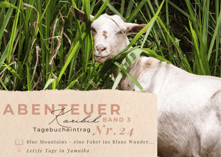 Karibik - Tagebuch III - Blue Mountains - eine Fahrt ins Blaue Wunder