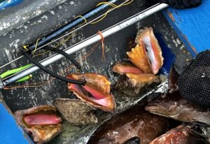 Karibik auf dem Teller – Conch in San Blas