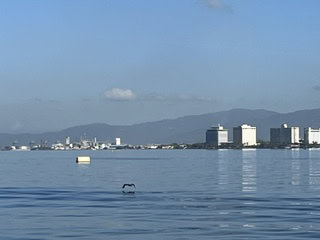 IMG 5849
