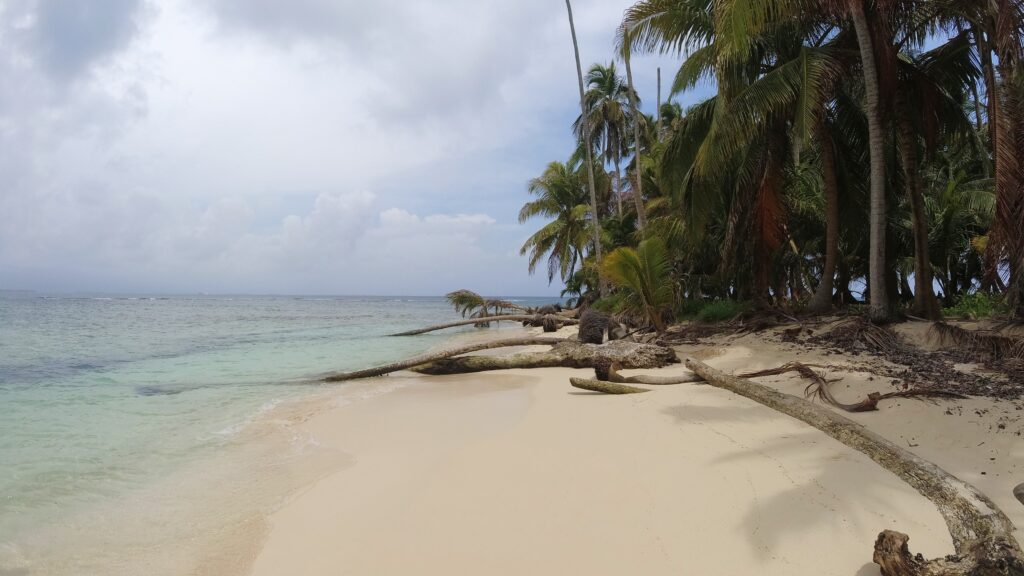 Sand und Palmen