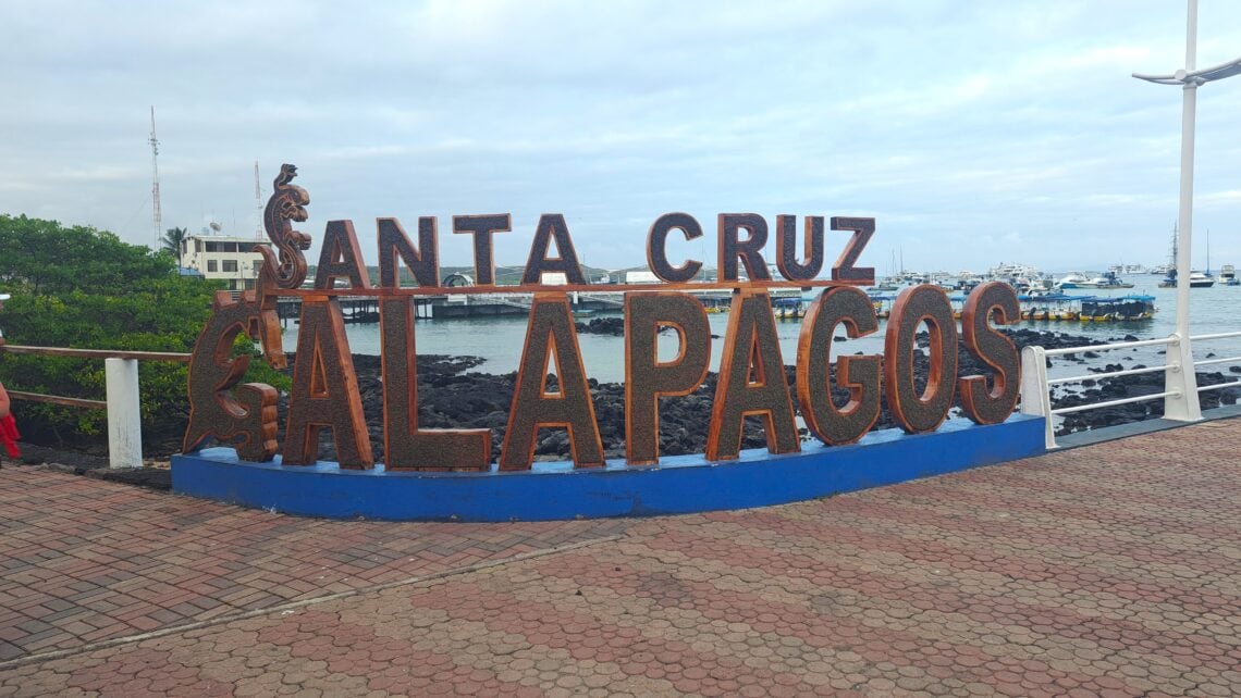 Santa Cruz TB