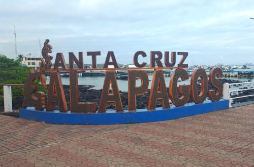 Santa Cruz TB