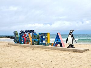 Insel Isabela auf Galápagos: Vulkane, Riesenschildkröten & wilde Natur