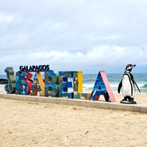 Insel Isabela auf Galápagos: Vulkane, Riesenschildkröten & wilde Natur