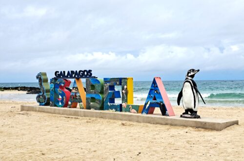 TB Isabela