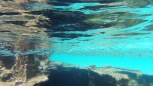 San Blas - Video: Unterwasserwelt - das gesunkene Schiffswrack von Isla Perro