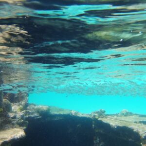 San Blas - Video: Unterwasserwelt - das gesunkene Schiffswrack von Isla Perro