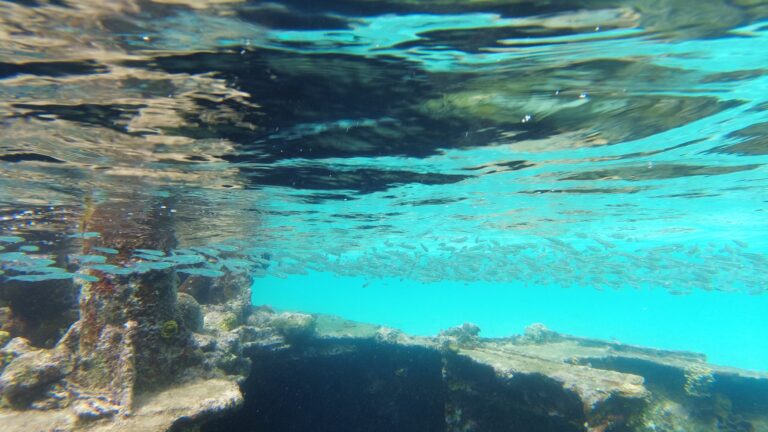 San Blas - Video: Unterwasserwelt - das gesunkene Schiffswrack von Isla Perro