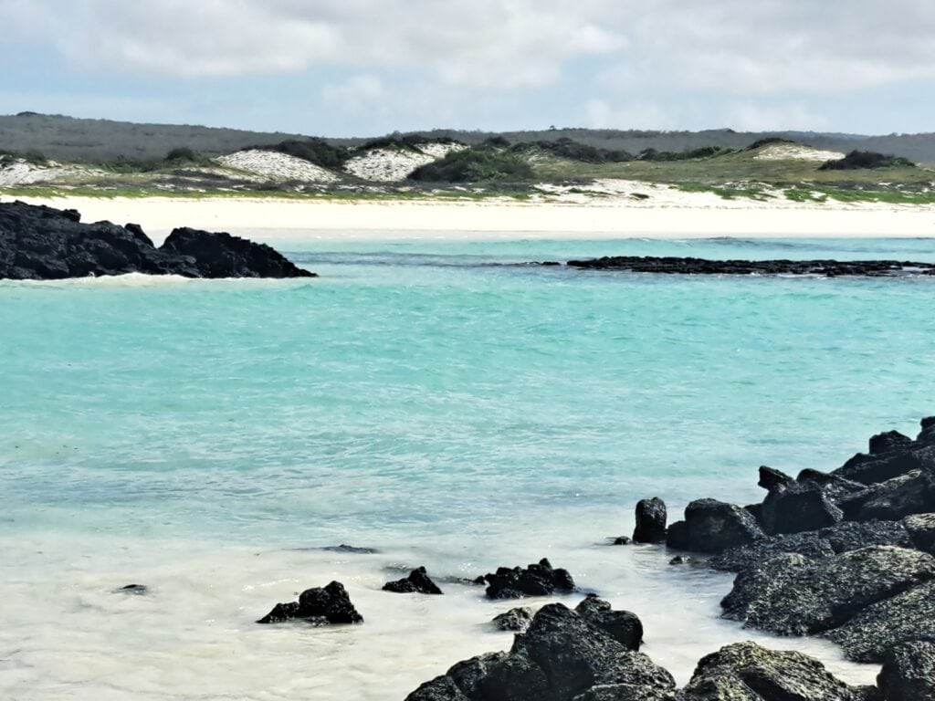 Bahia Rosa Blanca 2
