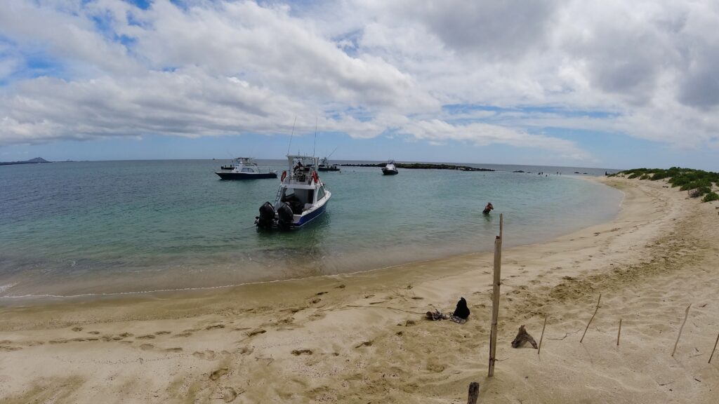 Bahia Sadina