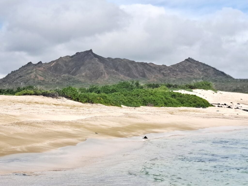 Bahia Sadina 2