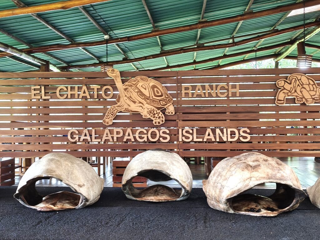 El Chato Ranch