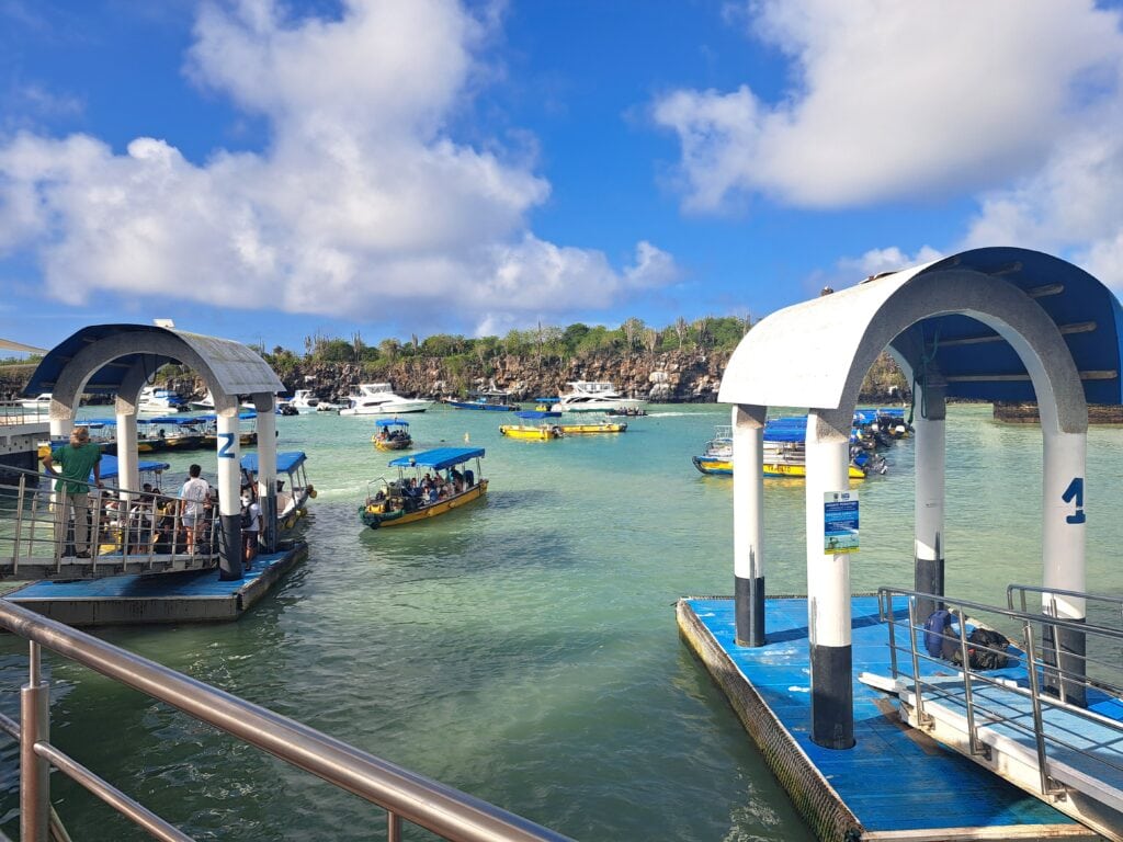Steg Santa Cruz