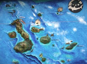 Reise zu den Galapagos-Inseln - Was es kostet und was sie so besonders macht