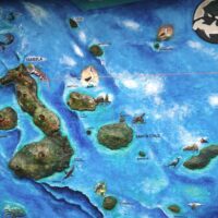 Reise zu den Galapagos-Inseln – Was es kostet und was sie so besonders macht